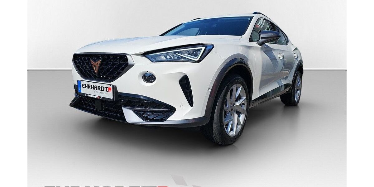 Cupra Formentor 26.030 km 23.990 &euro; Zellingen 97225