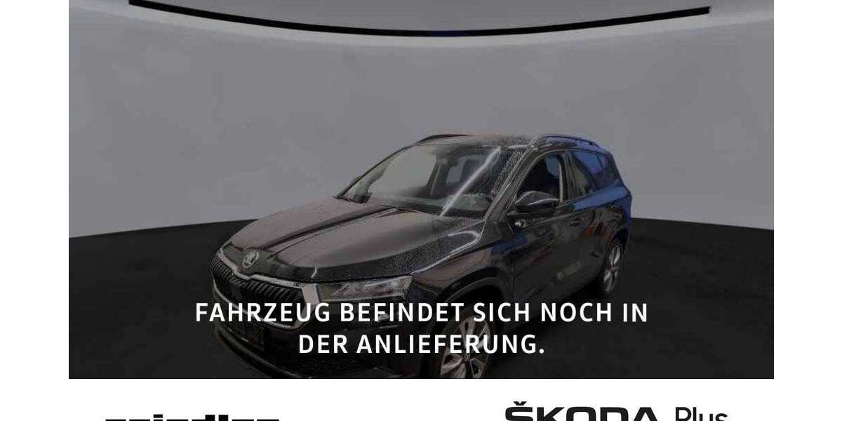 Skoda Karoq 46.000 km 27.880 &euro; Würzburg 97084